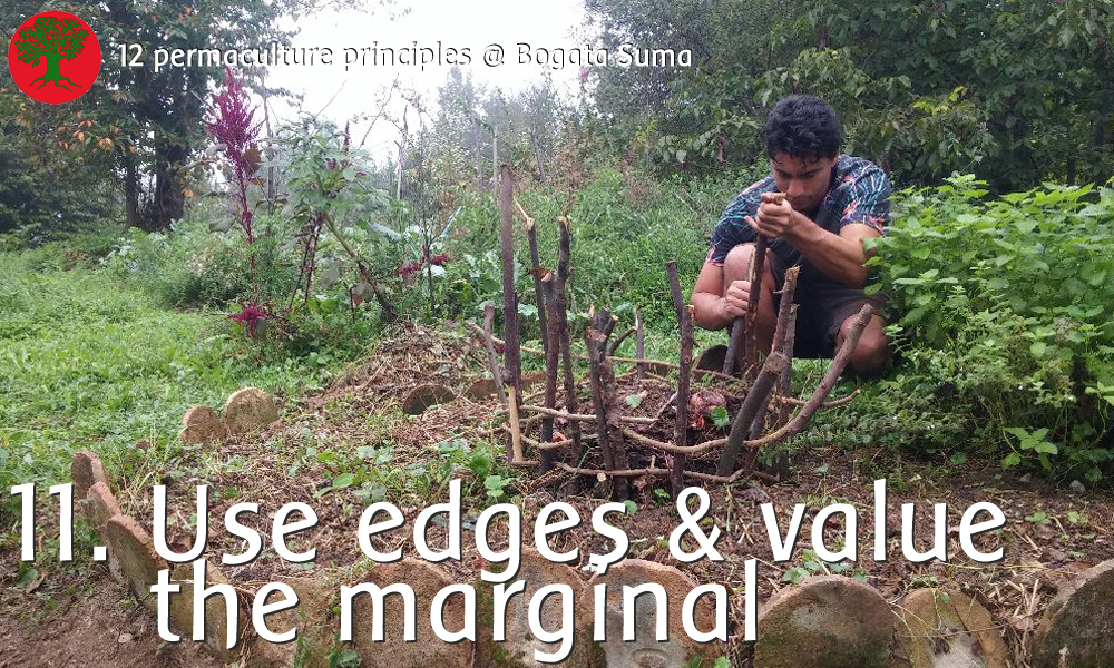 Permaculture principle 11: Use the Edges and Value the Marginal