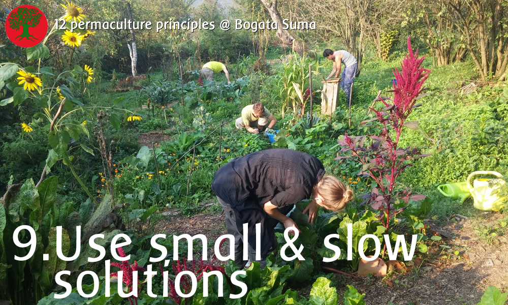 Permaculture Principles 9: Use Small and Slow Solutions