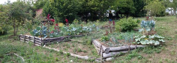 Permaculture garden: Colorful polyculture for diversity